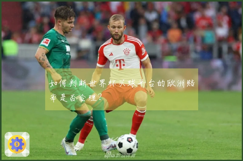 如何判断世界杯买球平台的欧洲赔率是否合理？