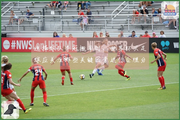 选择球队夺冠概率时，世界杯买足球应关注哪些关键因素进行合理分析