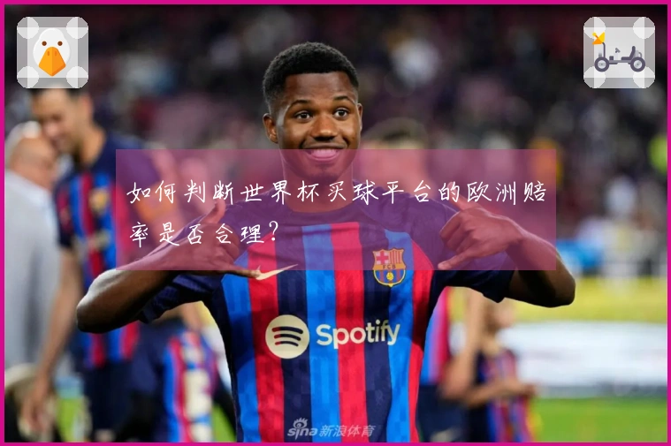 如何判断世界杯买球平台的欧洲赔率是否合理？
